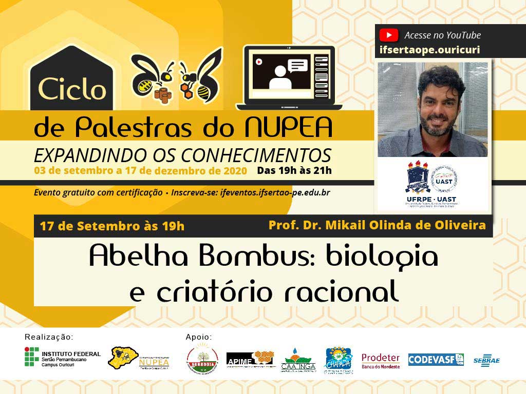 Núcleo de Pesquisa e Extensão em Abelhas do campus Ouricuri do IF Sertão – PE promove palestra "Abelha Bombus: biologia e criatório racional" nesta quinta-feira (17)