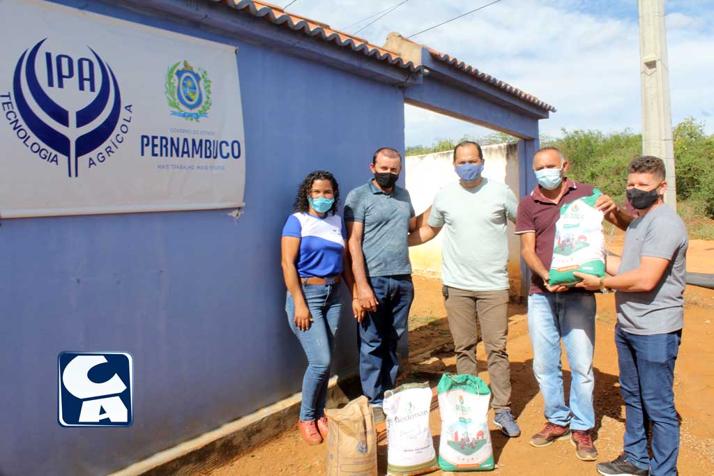 Santa Filomena recebe sementes do Programa Campo Novo