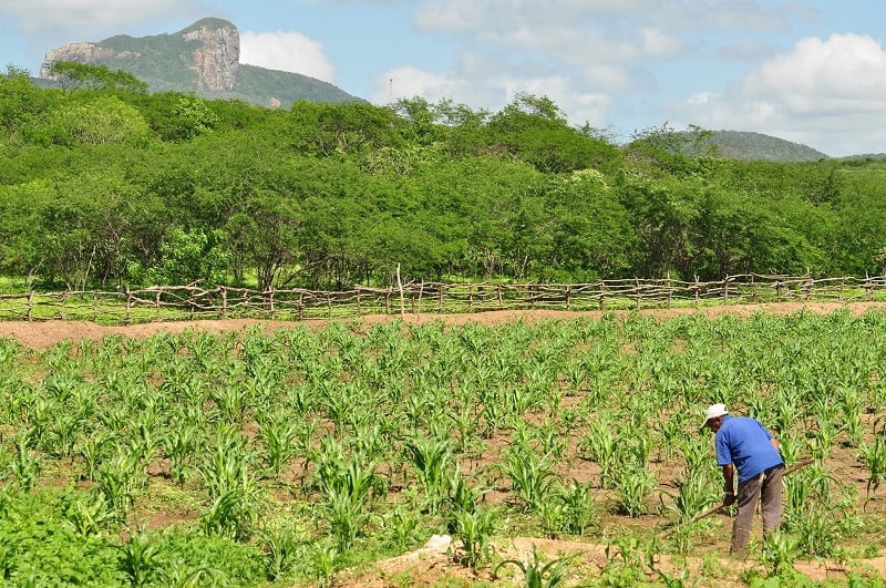 Prazo para pagamento do Garantia-Safra 2020/2021 é prorrogado para agricultores de Dormentes