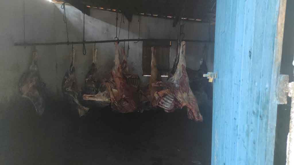 Operação conjunta apreende quatro toneladas de carne de cavalo em Limoeiro