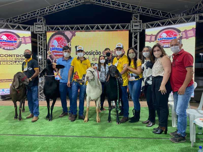 Encontro de Criadores de ovinos Berganês, palestras e mesas redondas marcam 2º dia de Caprishow em Dormentes