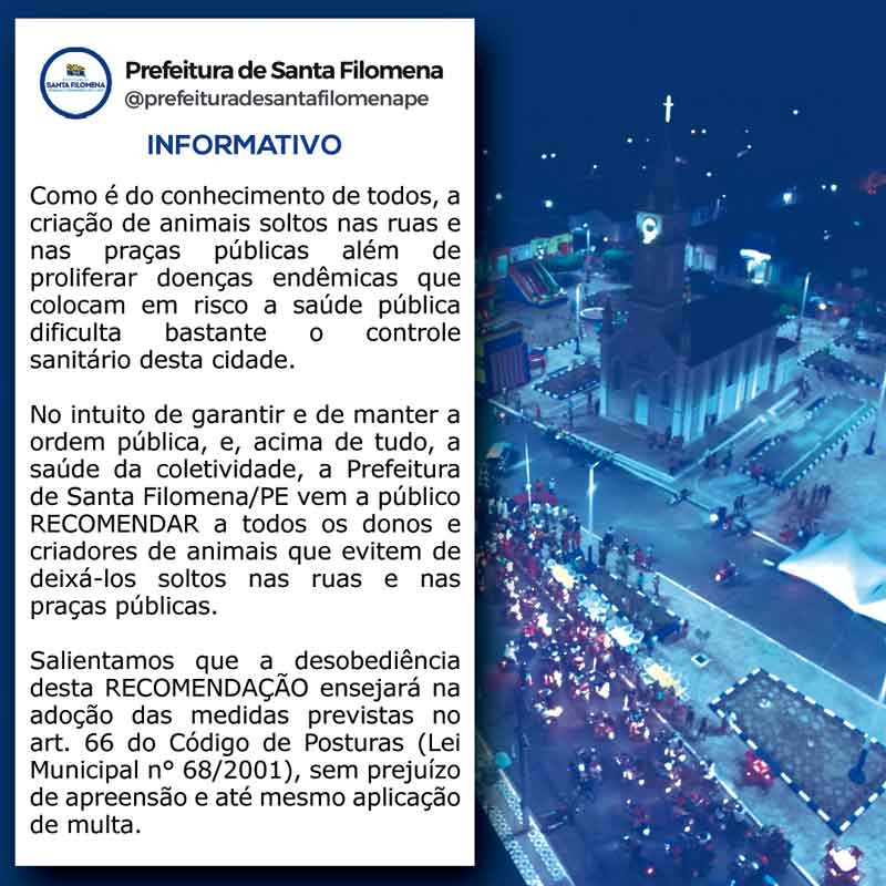 Prefeitura de Santa Filomena pede o fim da criação de animais soltos nas ruas para evitar doenças e danos ao patrimônio público