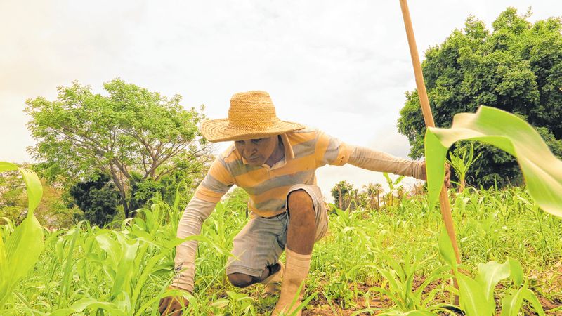 Santa Filomena realiza a última etapa do cadastro Garantia Safra 2022/2023 na quinta 27