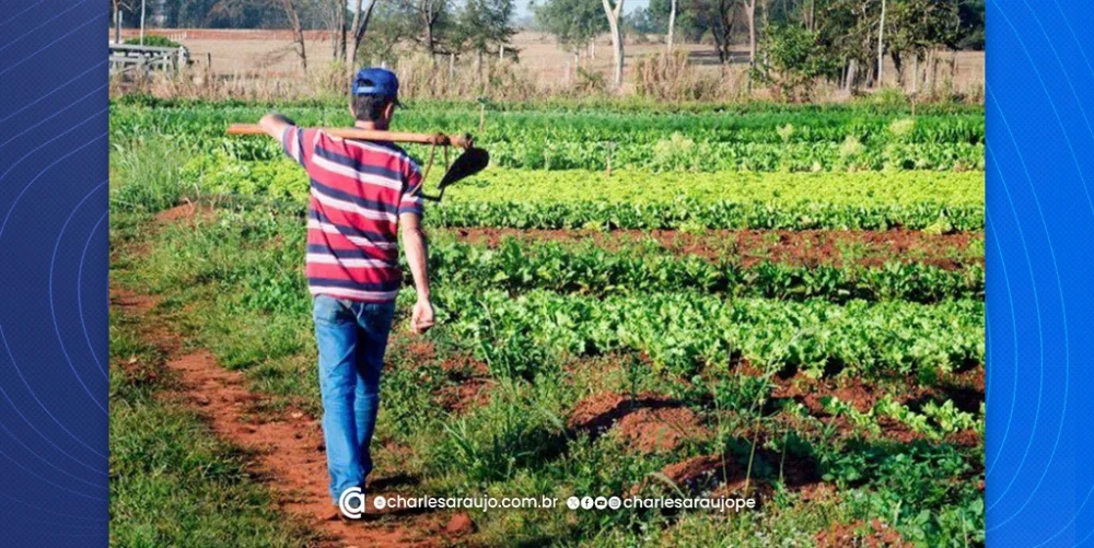 Sertão Vivo: iniciativa do BNDES beneficia 75 mil famílias de agricultores rurais em Pernambuco