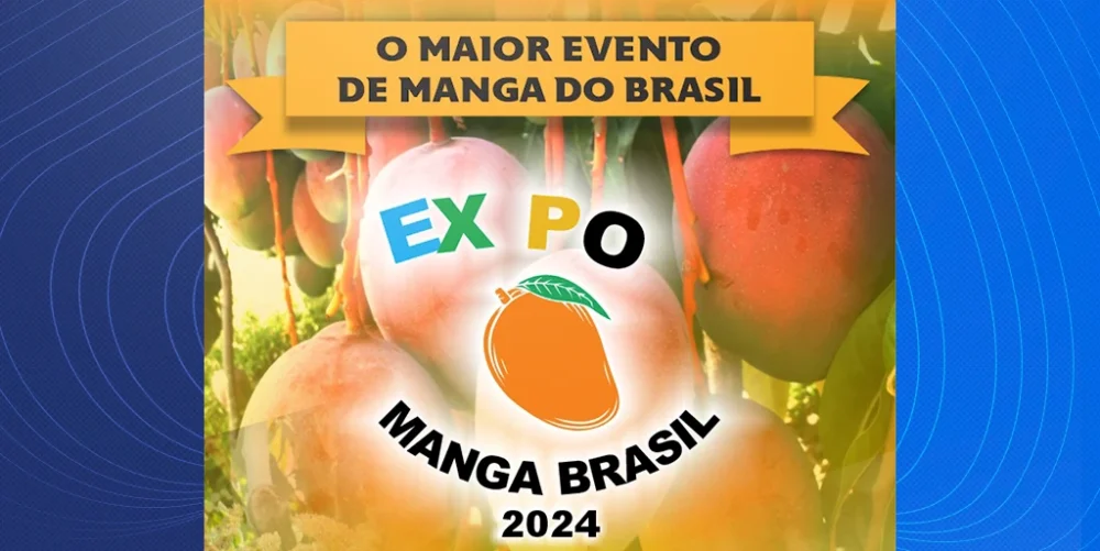 Expo Manga 2024: Maior evento de manga do Brasil acontecerá em Petrolina