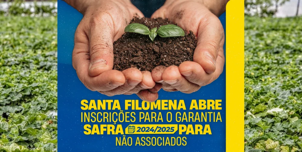 Santa Filomena abre Inscrições para o Garantia Safra 2024/2025 para não associados