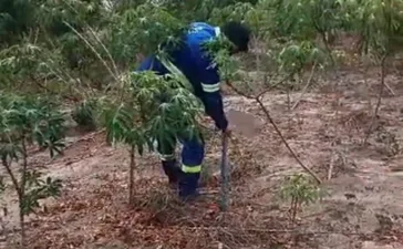 Homem é preso em flagrante furtando água no Sertão; esquema desviava 4,8 milhões de litros de água por mês