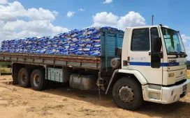 IPA inicia entrega de sementes de feijão, sorgo e milho no Sertão