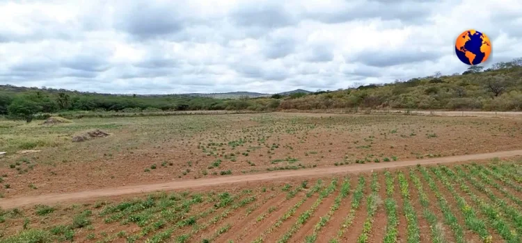 Sertão Pernambucano: O Clamor de um Povo Abandonado pela Chuva e pelo Poder Público